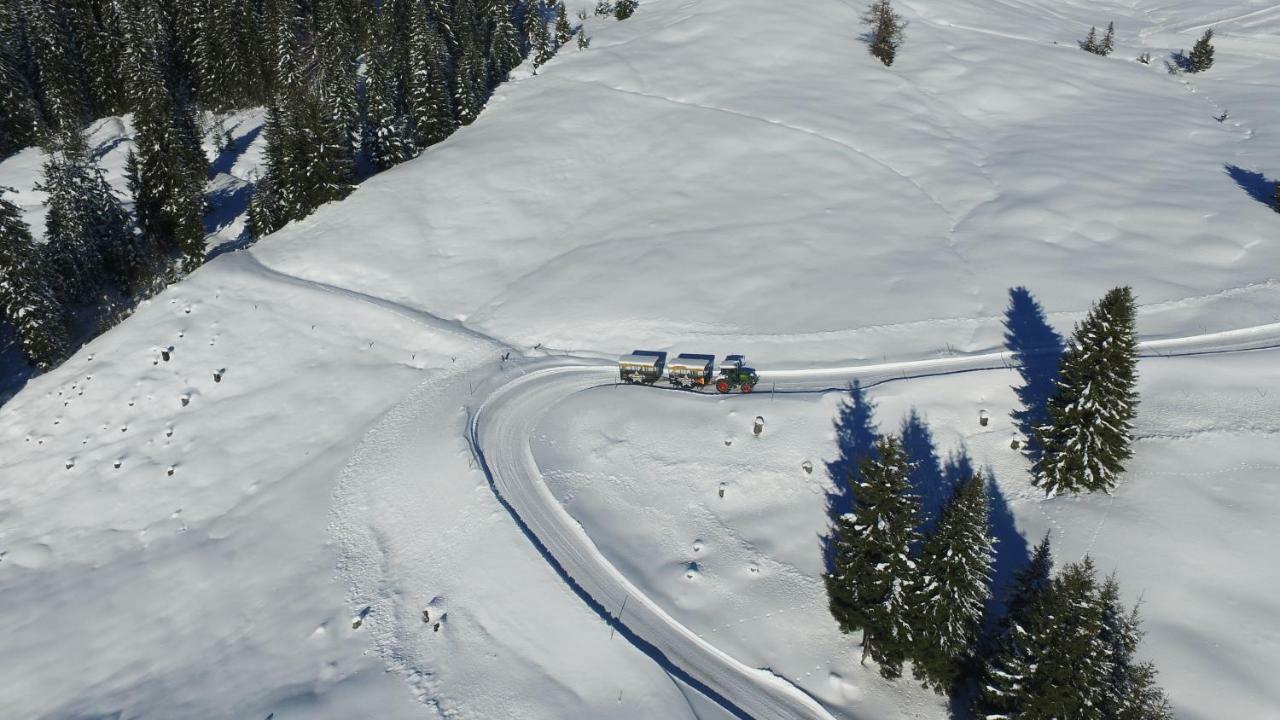 Ski In-Ski Out - Gaestehaeuser Saalbach-Hinterglemm - Wallegghof Christianhof Zewnętrze zdjęcie